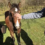 Ai Laghi Feriehus