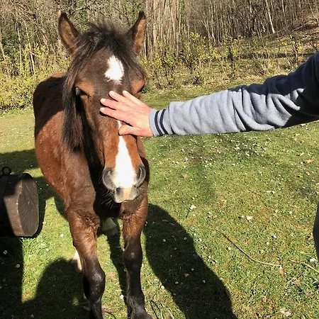 Ai Laghi Semesterbostad