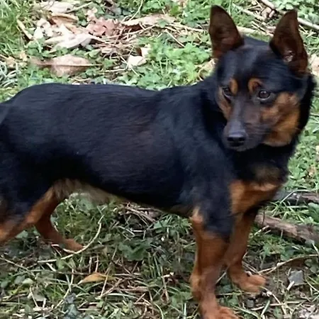 Ai Laghi Vakantiehuis *